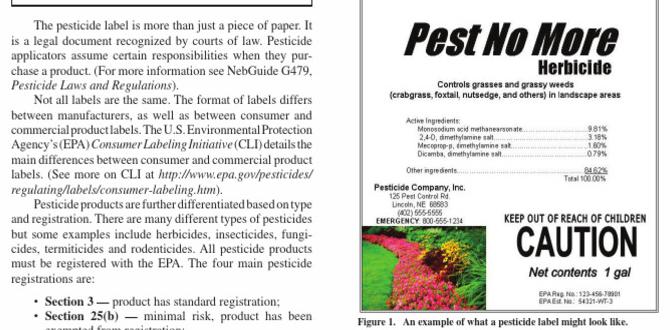 Understanding pesticide labels bug killer for gardens Understanding pesticide labels bug killer for gardens