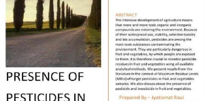 Understanding pesticides pesticides for veggie gardens Understanding pesticides pesticides for veggie gardens