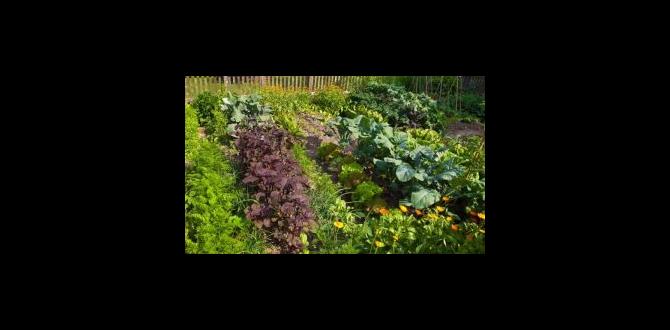 Understanding pre emergent herbicide pre emergent herbicide for gardens Understanding pre emergent herbicide pre emergent herbicide for gardens