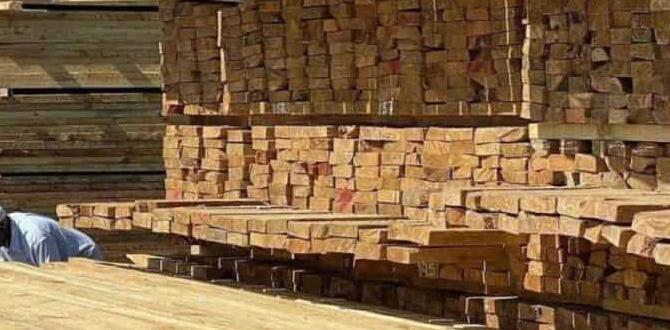 Understanding pressure treated lumber is pressure treated lumber safe for gardens Understanding pressure treated lumber is pressure treated lumber safe for gardens