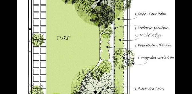 Understanding rectangular garden spaces designs for rectangular gardens Understanding rectangular garden spaces designs for rectangular gardens