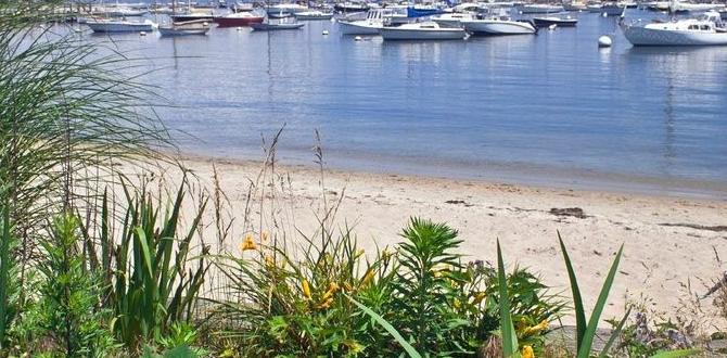 Understanding salt and its types salt for gardening