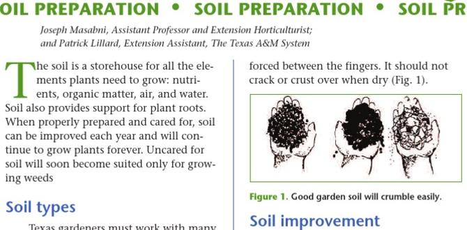 Understanding soil composition soil preparation for gardening Understanding soil composition soil preparation for gardening