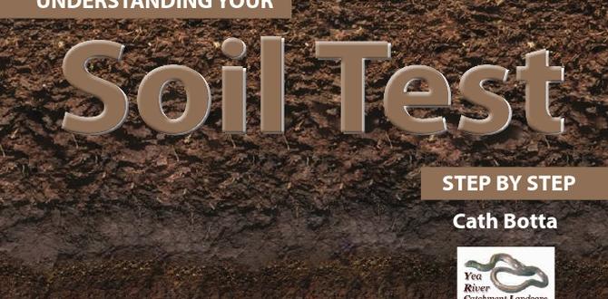 Understanding soil composition test soil for gardening Understanding soil composition test soil for gardening