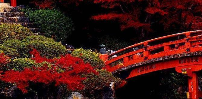Understanding the aesthetics of japanese gardens flowers for japanese gardens Understanding the aesthetics of japanese gardens flowers for japanese gardens