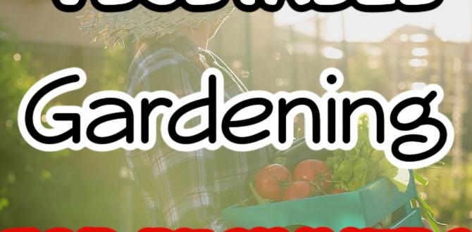 Understanding the basics of vegetable gardening veggie gardening for beginners Understanding the basics of vegetable gardening veggie gardening for beginners
