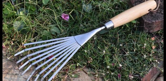 Understanding the benefits of using a hand rake hand rake for gardening Understanding the benefits of using a hand rake hand rake for gardening