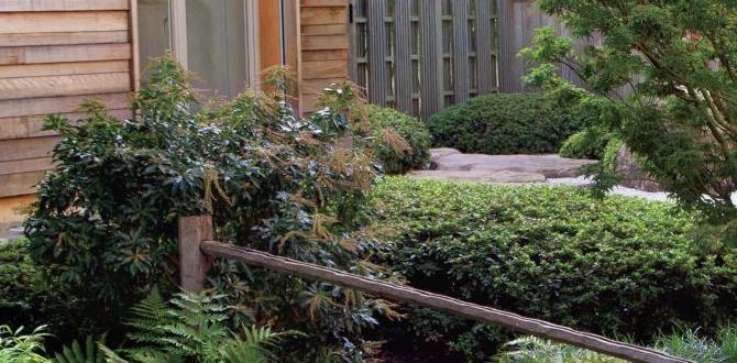Understanding the essence of japanese gardens japanese gardens for small spaces Understanding the essence of japanese gardens japanese gardens for small spaces