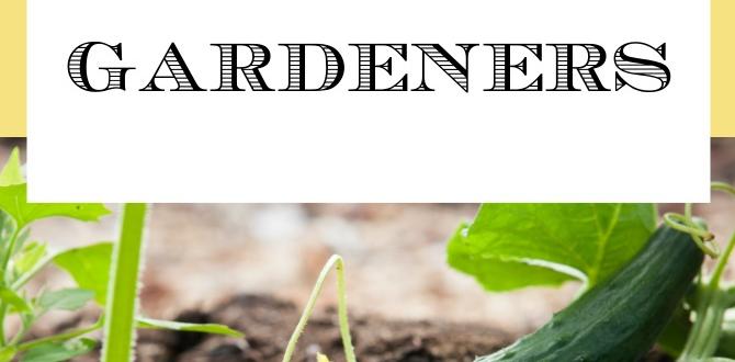 Understanding the gardener's needs gift guide for gardeners Understanding the gardener's needs gift guide for gardeners