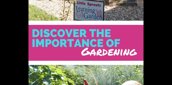 Understanding the importance of gardening lights lights for gardening