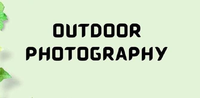 Understanding the importance of outdoor pictures outdoor pictures for gardens