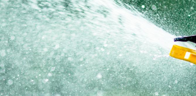 Understanding the need for an irrigation system irrigation system for gardens
