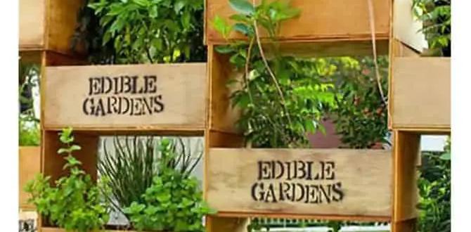 Understanding the need for privacy in outdoor spaces gardens for privacy Understanding the need for privacy in outdoor spaces gardens for privacy