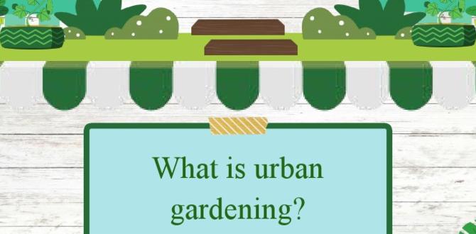 Understanding urban gardening plants for urban gardening Understanding urban gardening plants for urban gardening