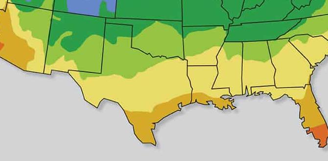 Understanding usda plant hardiness zones what zone is texas for gardening Understanding usda plant hardiness zones what zone is texas for gardening