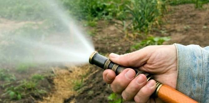Understanding water reuse in gardening how to reuse water for gardening Understanding water reuse in gardening how to reuse water for gardening