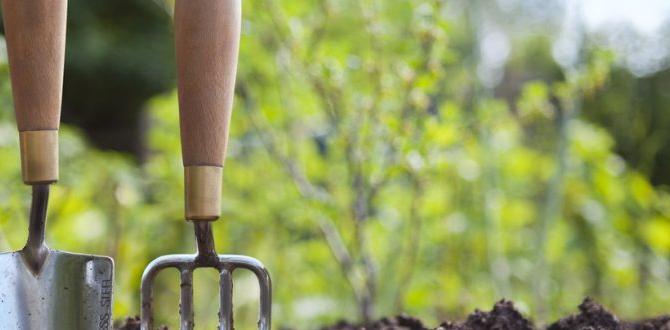Understanding your gardening space tips for beginner gardeners Understanding your gardening space tips for beginner gardeners