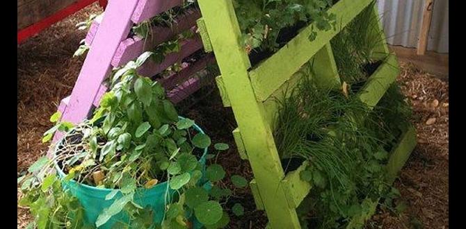 Upcycling techniques for garden pallets pallet ideas for gardens Upcycling techniques for garden pallets pallet ideas for gardens