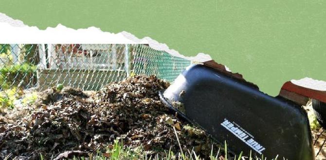Use cases for hay in the garden hay or straw for gardening