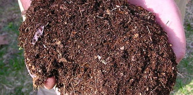 Using compost in your garden how to compost at home for gardening Using compost in your garden how to compost at home for gardening