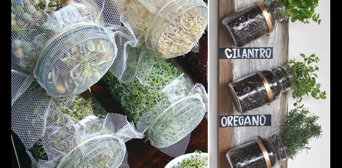 Using edible plants to save on groceries ideas for small gardens on a budget