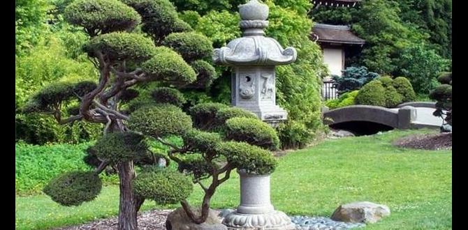 Using natural materials for hardscaping japanese gardens for small spaces Using natural materials for hardscaping japanese gardens for small spaces