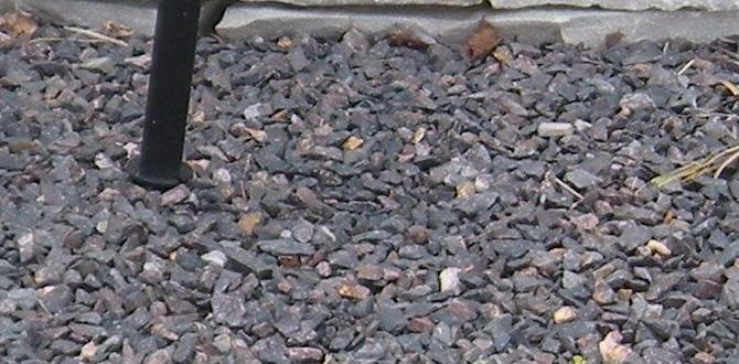 Using stones for garden borders and edging stone art for gardens Using stones for garden borders and edging stone art for gardens