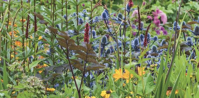 Utilizing color and texture gardening ideas for small gardens