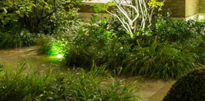 Utilizing outdoor lighting gardening ideas for small front yard