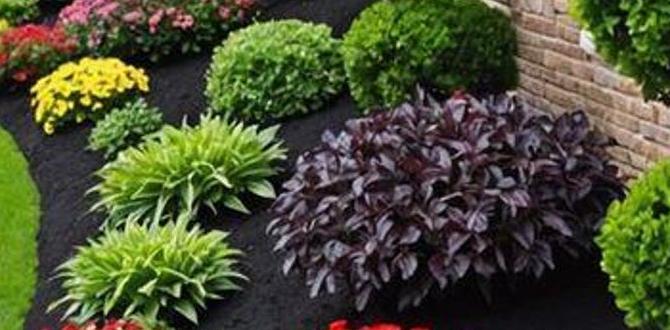 Utilizing pathways and borders effectively landscape garden ideas for small gardens Utilizing pathways and borders effectively landscape garden ideas for small gardens