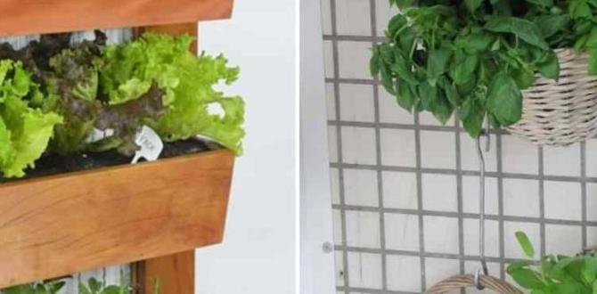 Utilizing vertical gardening gardening tips for vegetables Utilizing vertical gardening gardening tips for vegetables