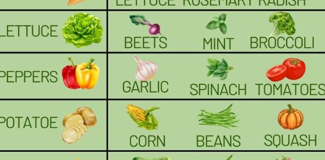 Vegetablespecific companion planting strategies list of companion plants for vegetable gardens Vegetablespecific companion planting strategies list of companion plants for vegetable gardens