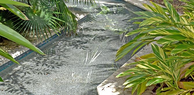 Visiting hours and admission fees best florida botanical gardens Visiting hours and admission fees best florida botanical gardens