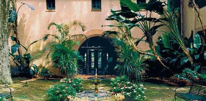 Visitor experience for seniors bok tower gardens tickets for seniors