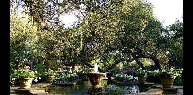 Visitor guidelines and tips tickets for bellingrath gardens