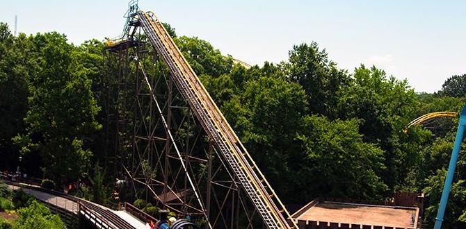 Visitor testimonials on weather experiences weather for busch gardens va Visitor testimonials on weather experiences weather for busch gardens va
