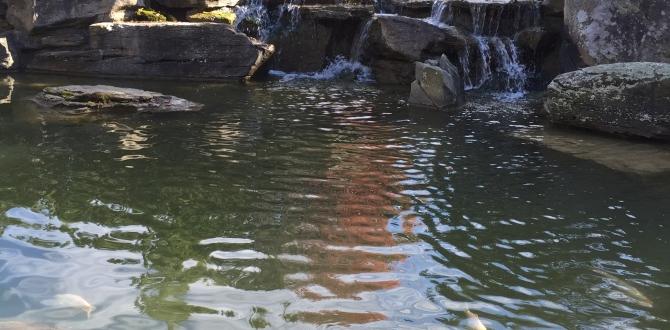 Visitor tips best time to visit meijer gardens Visitor tips best time to visit meijer gardens