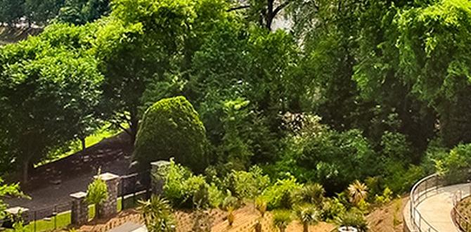 Visitor tips for atlanta botanical gardens groupon for atlanta botanical gardens Visitor tips for atlanta botanical gardens groupon for atlanta botanical gardens
