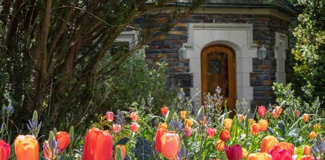 Visitor tips for each season best time to visit duke gardens Visitor tips for each season best time to visit duke gardens
