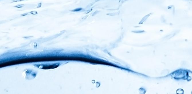 Water availability and gardening best states for gardening Water availability and gardening best states for gardening