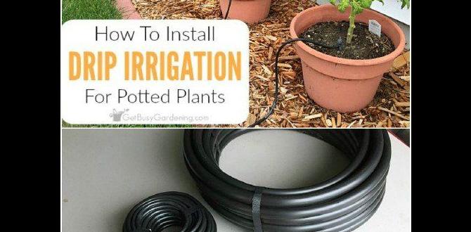 Watering and irrigation systems steps for gardening Watering and irrigation systems steps for gardening