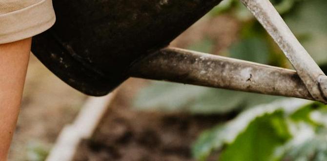 Watering and maintenance tips easy gardening tips for beginners Watering and maintenance tips easy gardening tips for beginners