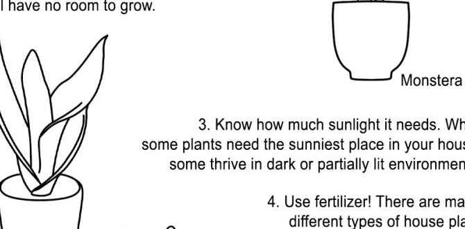 Watering techniques and schedules gardening for beginners pdf Watering techniques and schedules gardening for beginners pdf