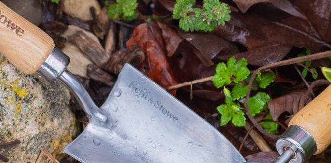 Watering techniques for optimal growth tips for beginner gardeners Watering techniques for optimal growth tips for beginner gardeners
