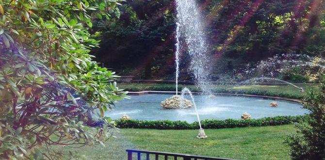 Weatherrelated attractions and activities weather for longwood gardens pa