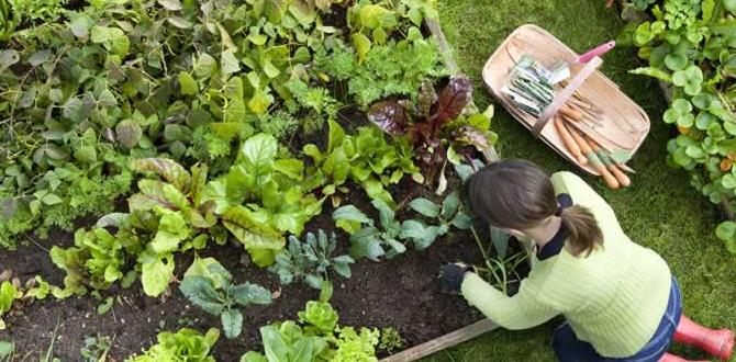 What is a gardening zone what is the gardening zone for santa rosa ca