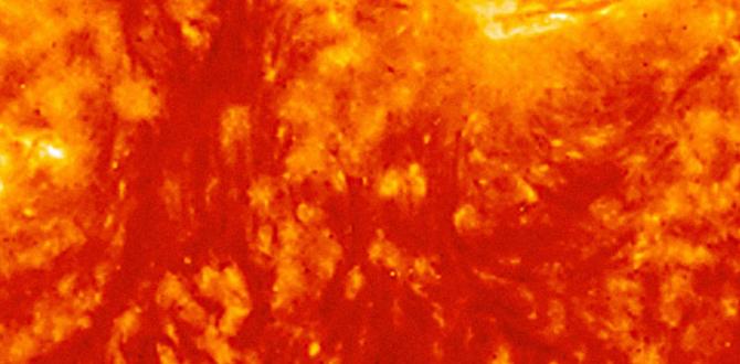 What is a sun tracker sun tracker for gardening