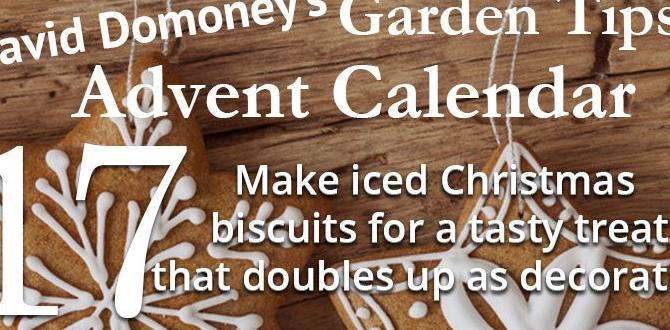 What is an advent calendar for gardeners advent calendars for gardeners