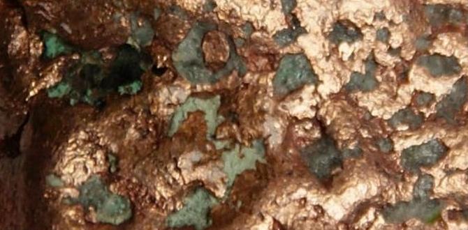 What is copper and why is it important in gardening copper for gardening What is copper and why is it important in gardening copper for gardening