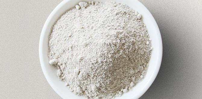 What is diatomaceous earth diatomaceous earth for gardening